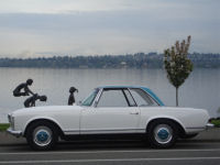 New 230 SL Whit blue 013_2_t.jpg